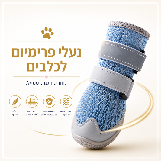 נעלי קיץ לכלבים | רשת נושמת להגנה מכוויות אספלט
