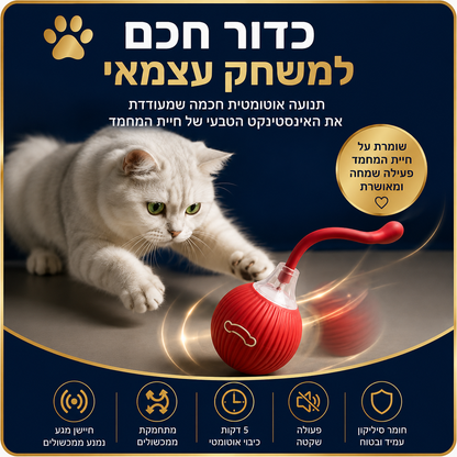 כדור משחק חכם לחתולים – BeThePet Smart Ball