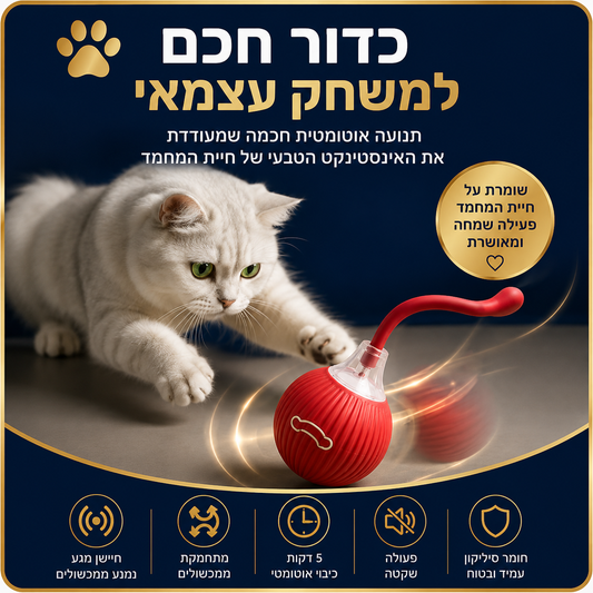 כדור משחק חכם לחתולים – BeThePet Smart Ball
