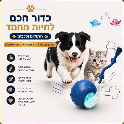 כדור משחק חכם לחתולים – BeThePet Smart Ball