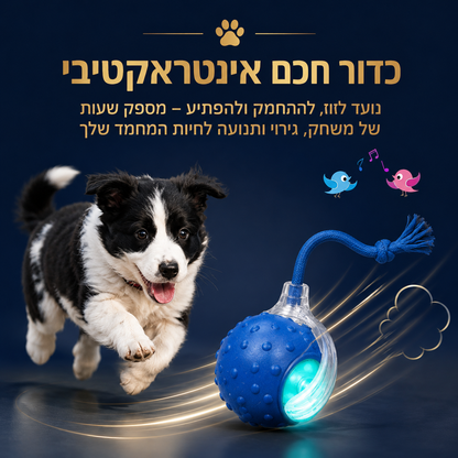 כדור משחק חכם לחתולים – BeThePet Smart Ball